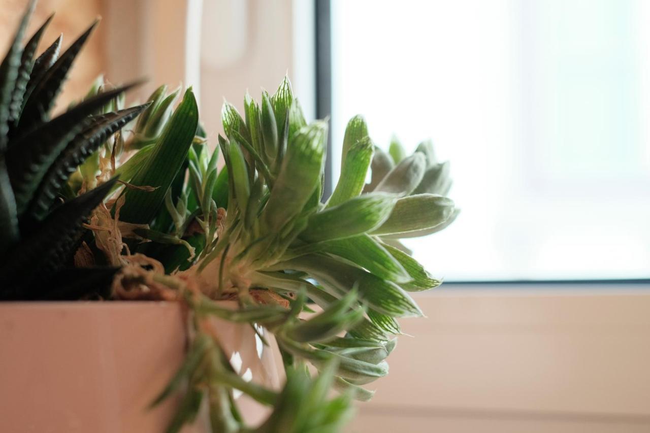 Apartamento Friendly Border Design *